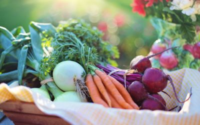 Is organic food better for our health?