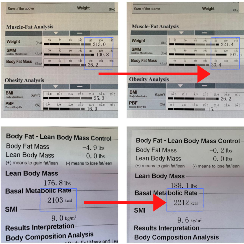 Body Fat Percentage - StoryMD